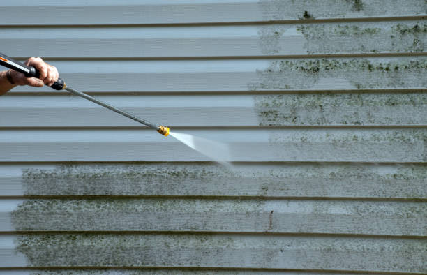 Best Building Exterior Washing  in Kissimmee, FL